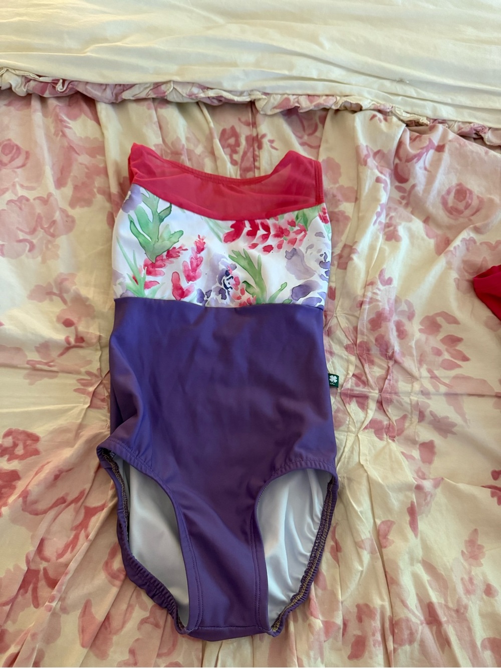 Like New LuckyLeo Dance Leotard!!